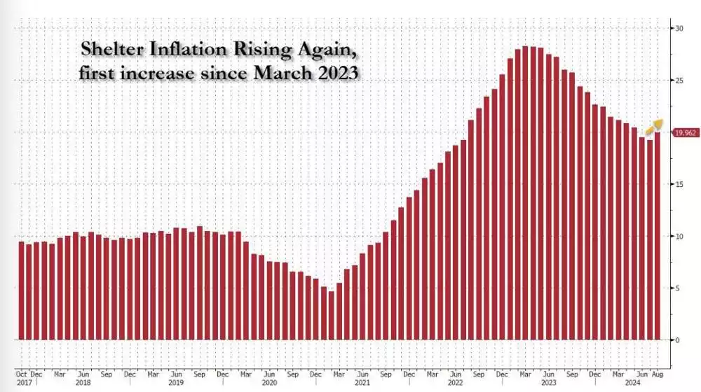 Shelter_Inflation_Rising_showing_first_increase_since Shelter_Inflation_Rising_showing_first_increase_since